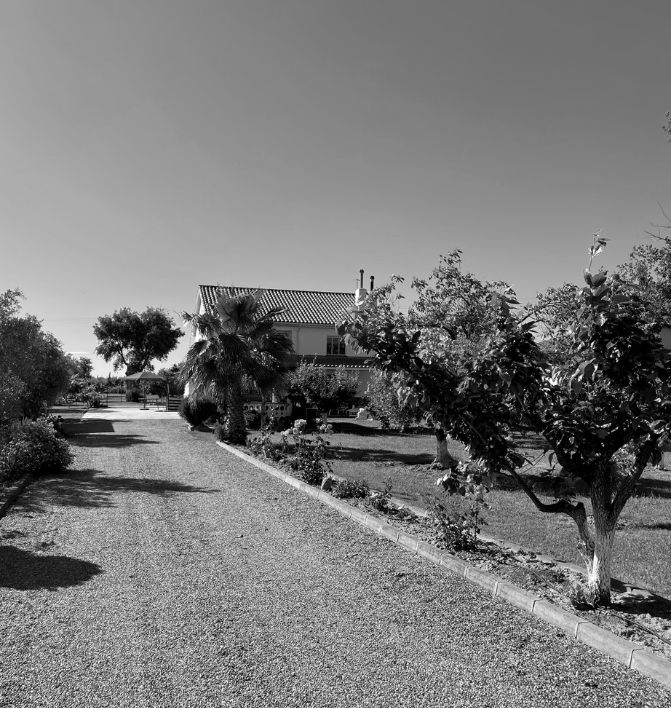 Ven a conocer Marvidas - Centro de drogas en Badajoz